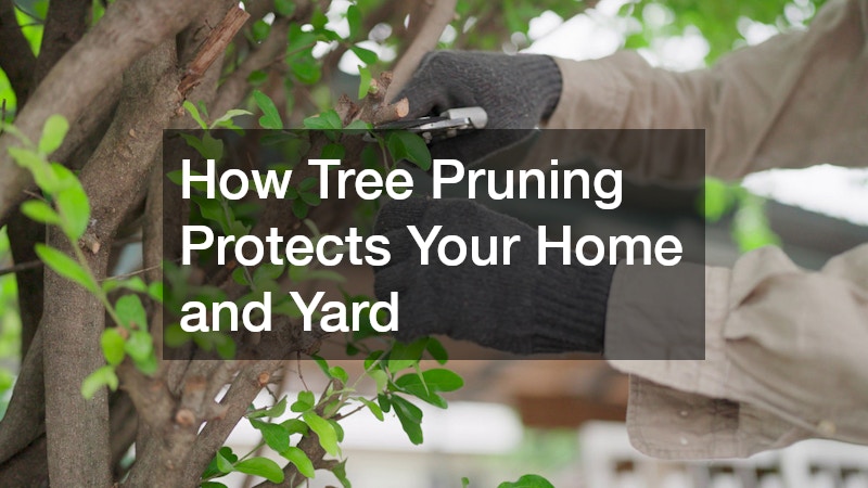How Tree Pruning Protects Your Home & Yard